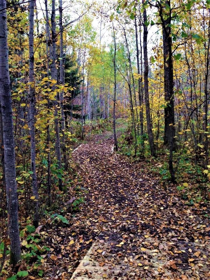 7836 Gowdy Landing Rd, Big Falls, MN 56627