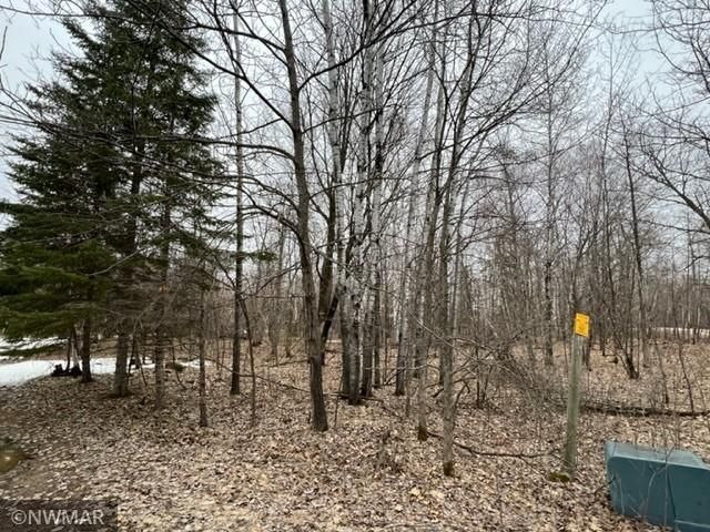 13512 452nd St, Solway, MN 56678