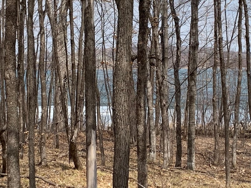 12 Loon Point Dr, Kensington, MN 56343
