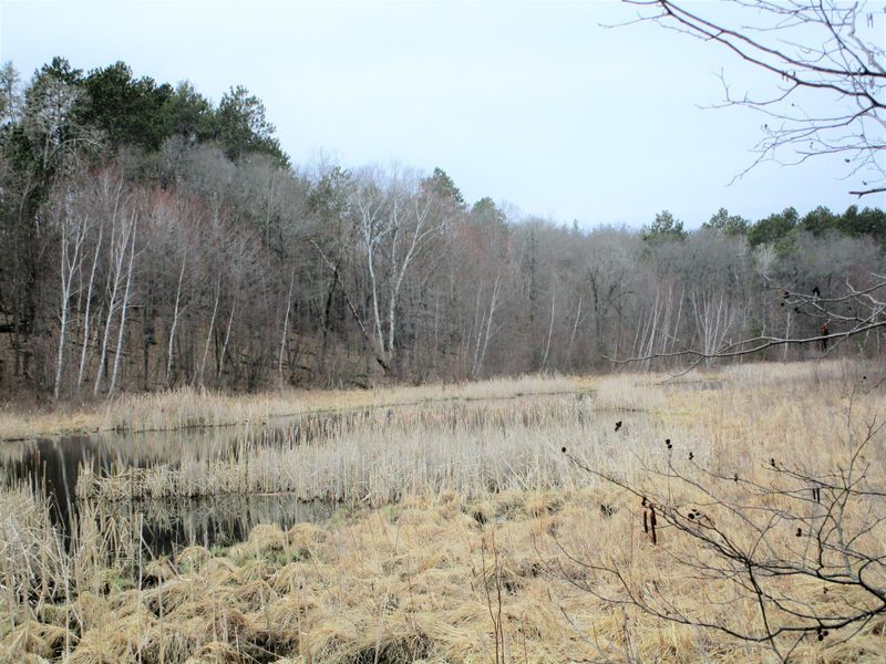 Lot 295 Deerpath Rd, Danbury, WI 54830