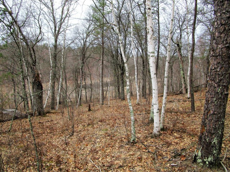 Lot 296 Deerpath Rd, Danbury, WI 54830