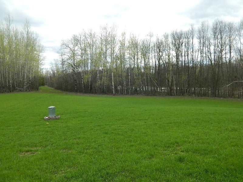 4381 County Road 79, Littlefork, MN 56653