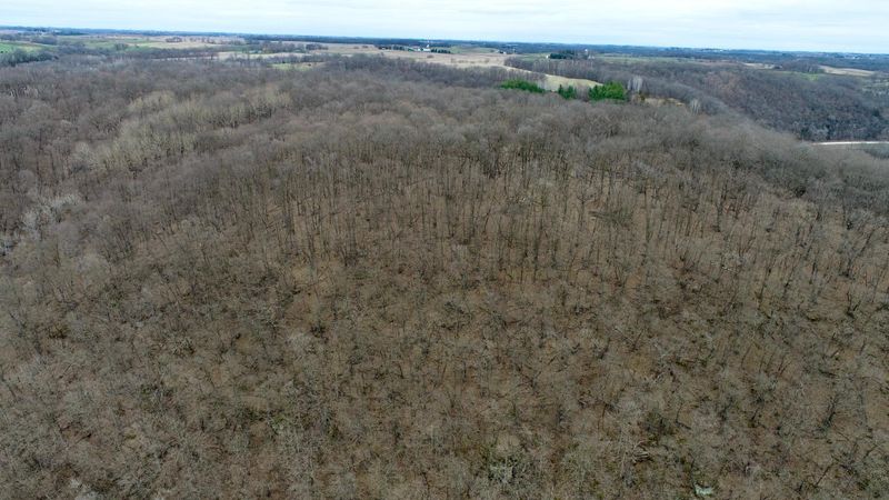 xxxx County Road 68, Zumbro Falls, MN 55991