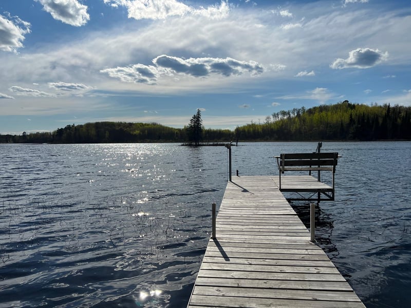 66789 N Pickerel Rd, Effie, MN 56639