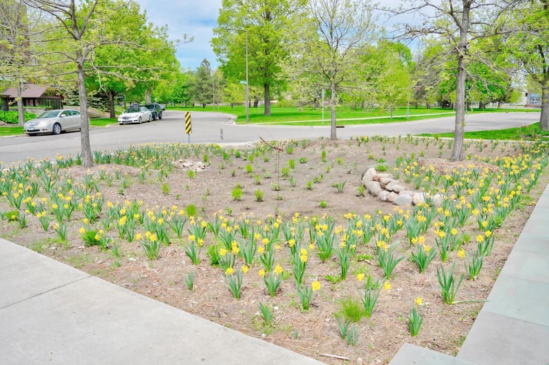 2350 Bayless Pl, Saint Paul, MN 55114