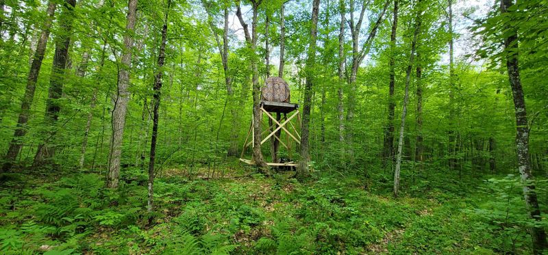 XXX Schmedeke Ln, Sandstone, MN 55072