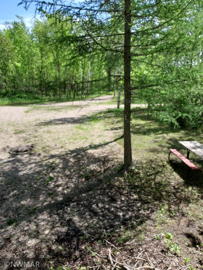 37896 180th St, Wannaska, MN 56761