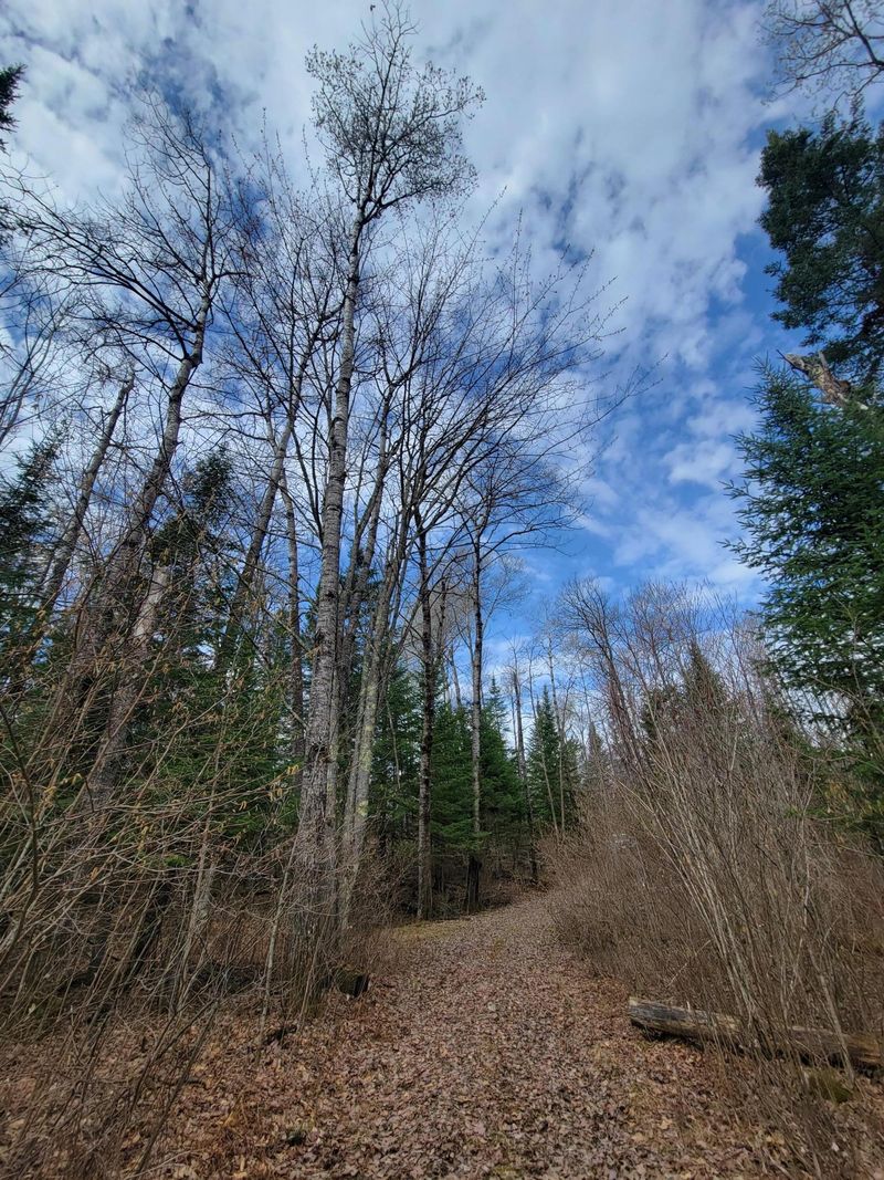 TBD County Road 244, Grand Rapids, MN 55744