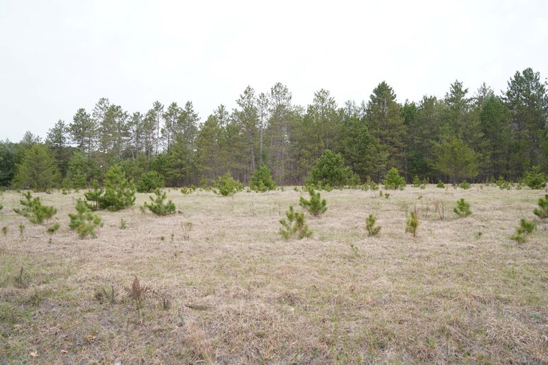 0 County D Rd, Webster, WI 54893