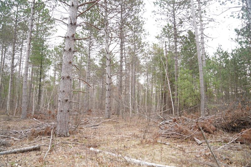 0 County D Rd, Webster, WI 54893