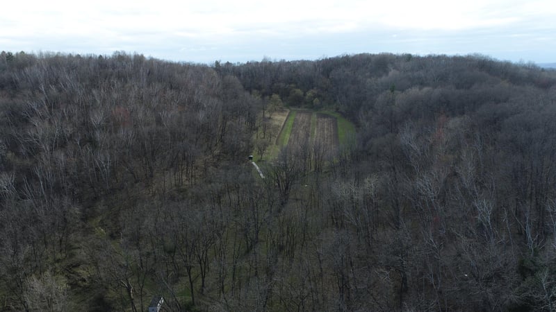 0 Nyseth Rd, Eleva, WI 54738