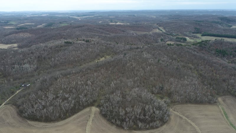 0 Nyseth Rd, Eleva, WI 54738