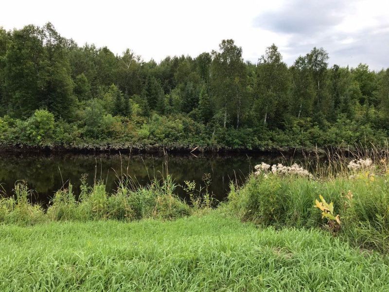 7262 County Road 5, Effie, MN 56639