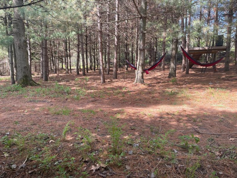 141xx 263rd St, Lindstrom, MN 55045