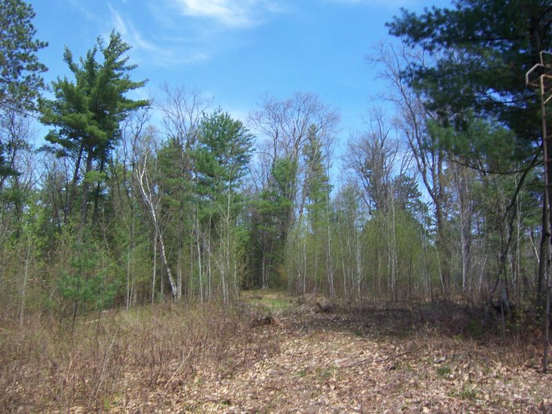 Lots 50 - 51 County Rd H, Danbury, WI 54830