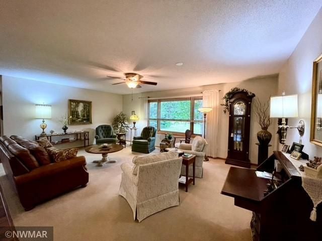 3009 Silver Birch Ct NW, Bemidji, MN 56601