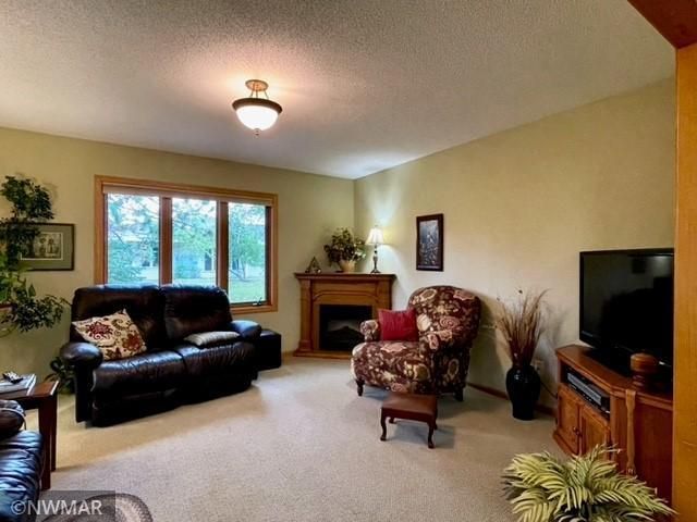 3009 Silver Birch Ct NW, Bemidji, MN 56601