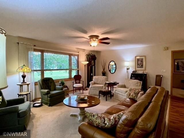 3009 Silver Birch Ct NW, Bemidji, MN 56601