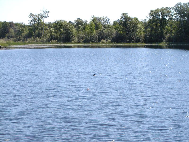 Lot 6 Fools Lake Dr, Park Rapids, MN 56470