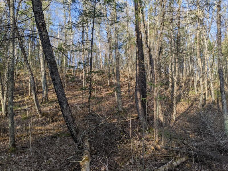 XXX Korhonen Rd, Wright, MN 55798