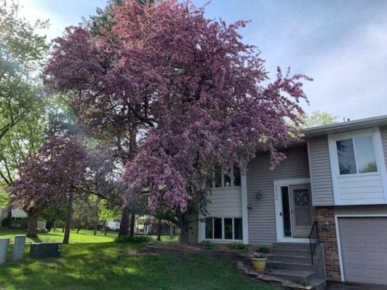 10364 Yorktown Ln N, Maple Grove, MN 55369