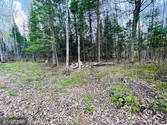 28701 460th St, Laporte, MN 56461