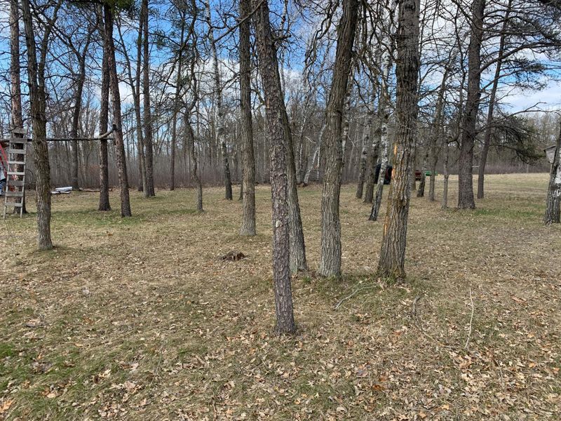 24768 182nd St, Staples, MN 56479