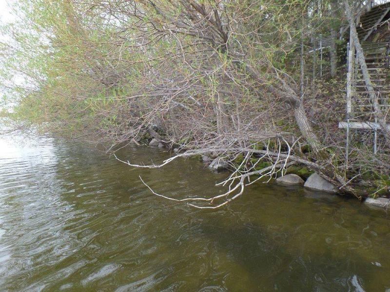 Lot 9 - 10 428th St, Perham, MN 56573