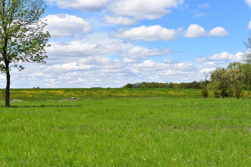 46XX 100th St, Plato, MN 55370