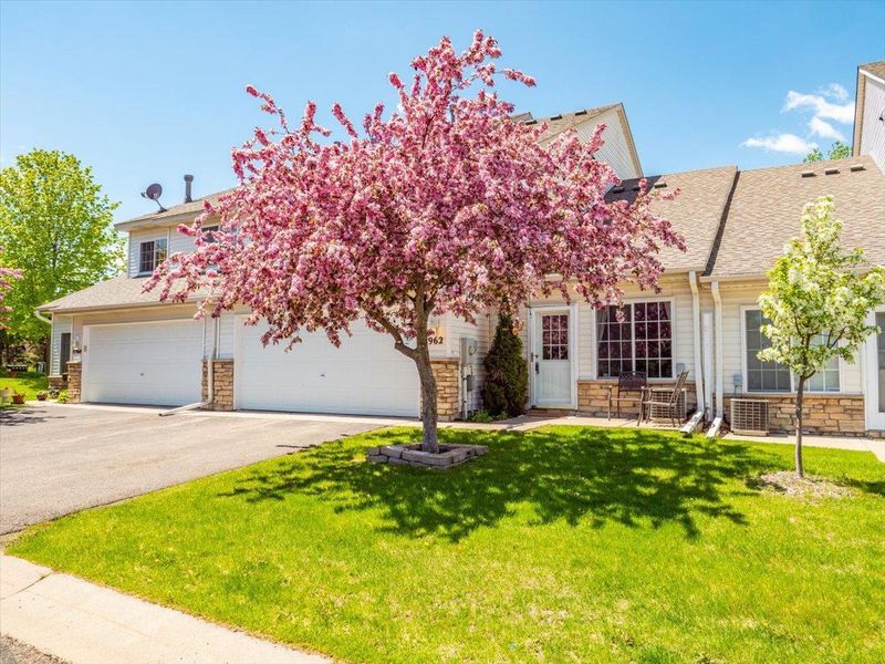 8962 Pheasant Ln, Saint Bonifacius, MN 55375