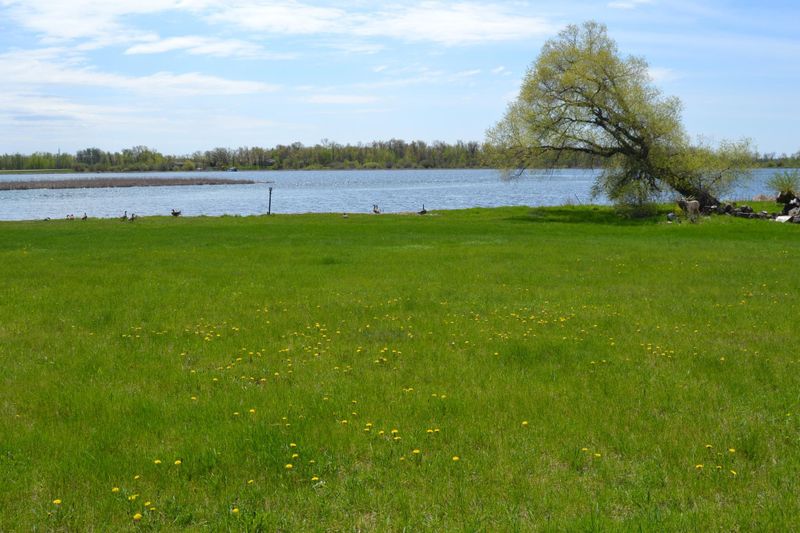 35320 438th Ave, Ottertail, MN 56571