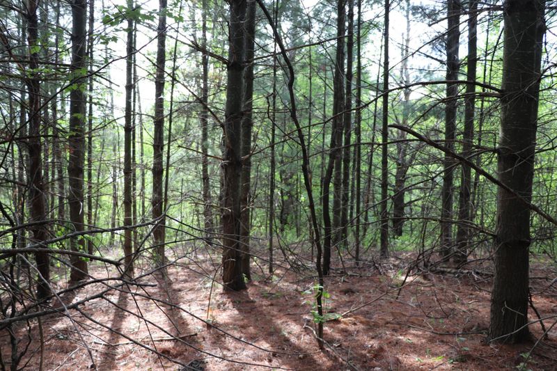 Lot 3 180th St, Osceola, WI 54020