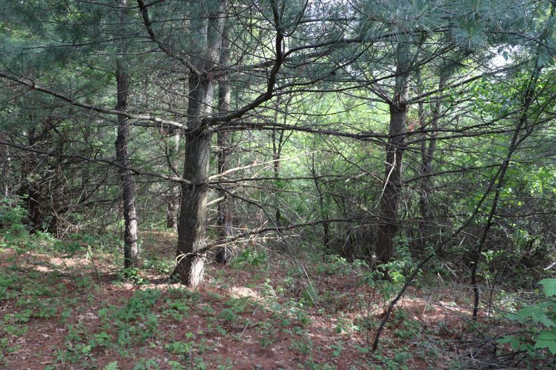 Lot 3 180th St, Osceola, WI 54020