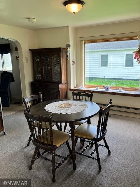 217 Markley Ave S, Thief River Falls, MN 56701