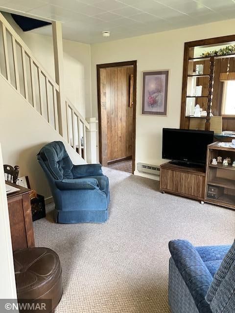 217 Markley Ave S, Thief River Falls, MN 56701
