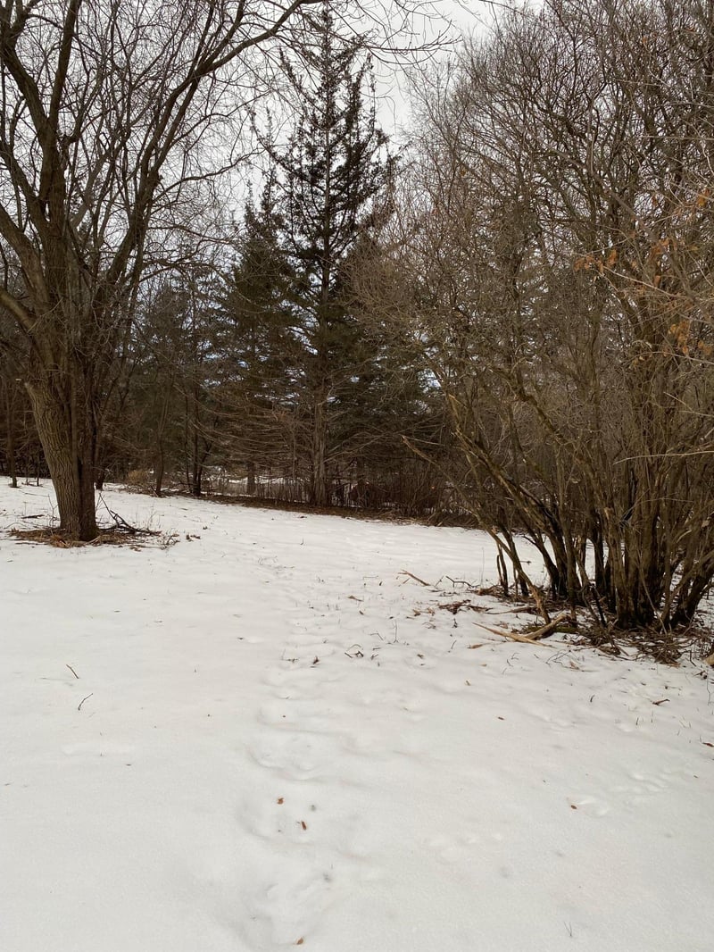17809 Ridgewood Rd, Minnetonka, MN 55345