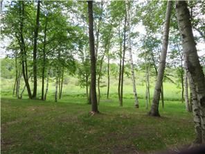 XXX Fish Trap Lake Dr, Cushing, MN 56443