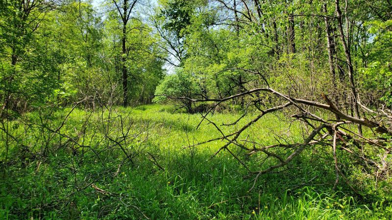 XXXXX Nelson Rd, North Branch, MN 55056