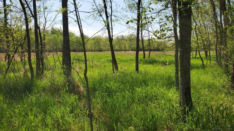 XXXXX Nelson Rd, North Branch, MN 55056