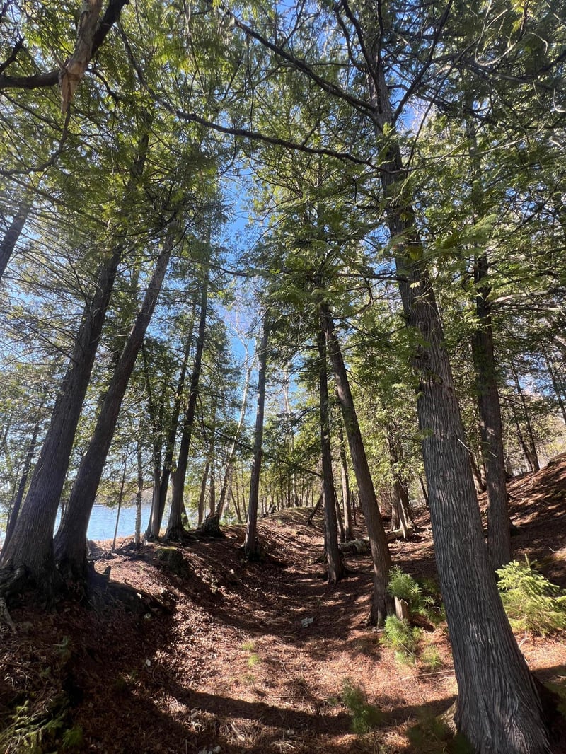 XXX Becker Rd, Marcell, MN 56657