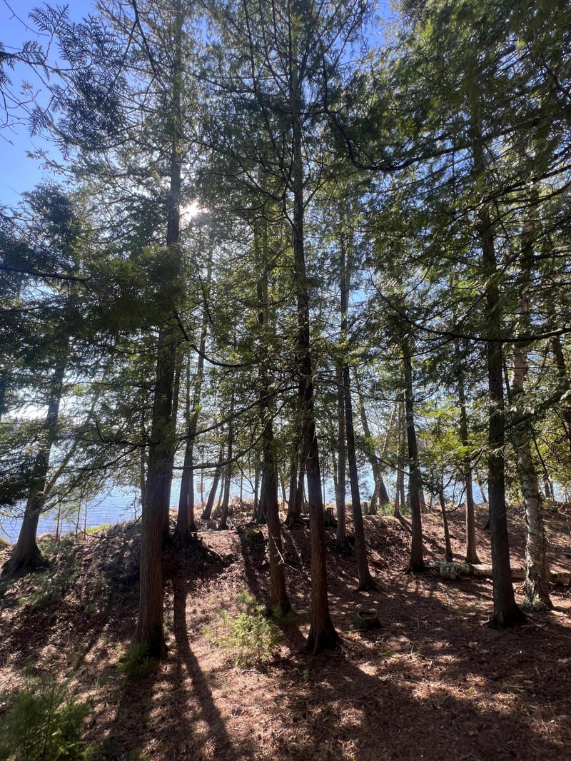 XXX Becker Rd, Marcell, MN 56657