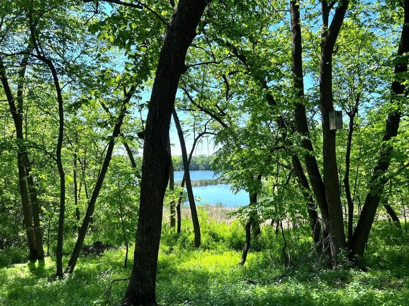 12163 62nd St NE, Spicer, MN 56288