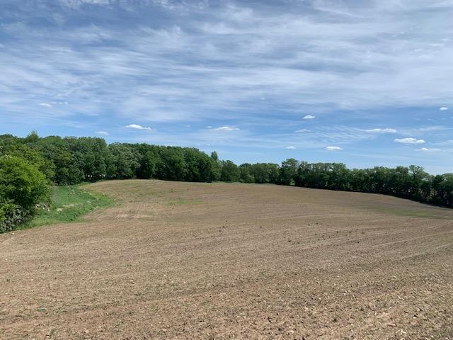 XXXX 35th St W, Webster, MN 55088