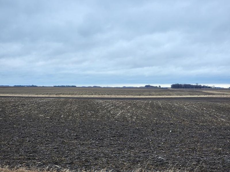 000 Co Rd 21, Renville, MN 56284