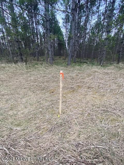 A-2 150th St, Frazee, MN 56544