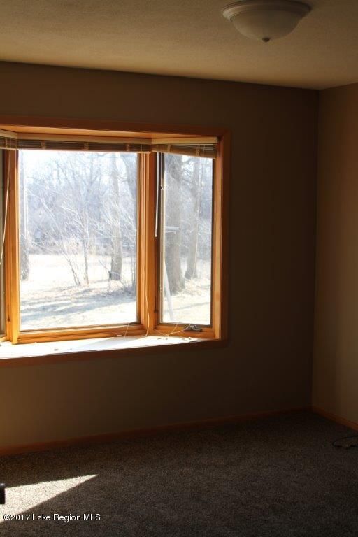 11303 250th St N, Hitterdal, MN 56552