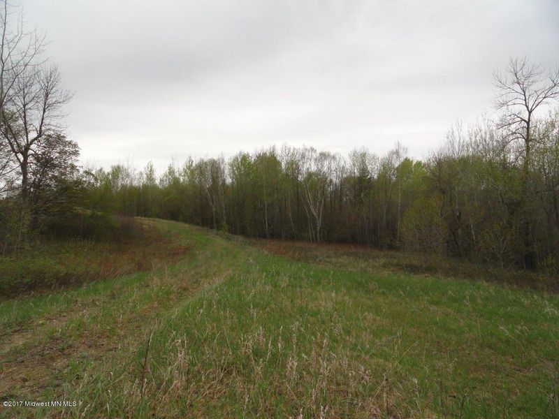 Tbd Buffalo Rn, Rochert, MN 56578