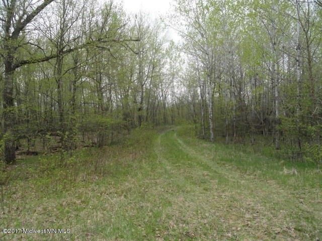 Tbd Buffalo Rn, Rochert, MN 56578