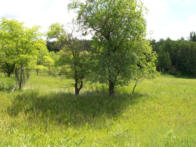 36323 Cty Hwy #34, Ogema, MN 56569