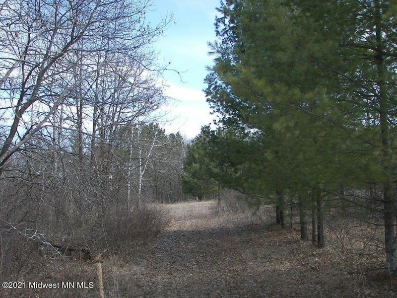 Xxx Early Bird Dr, Park Rapids, MN 56470